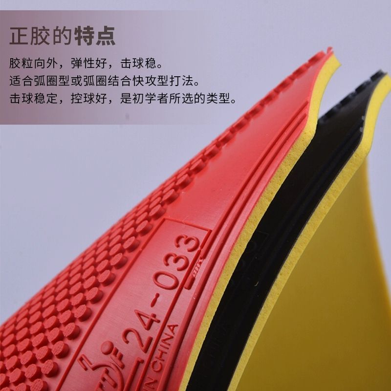 Original DHS Dragon Shadow Tab - đánh giá và giá Table Tennis Market